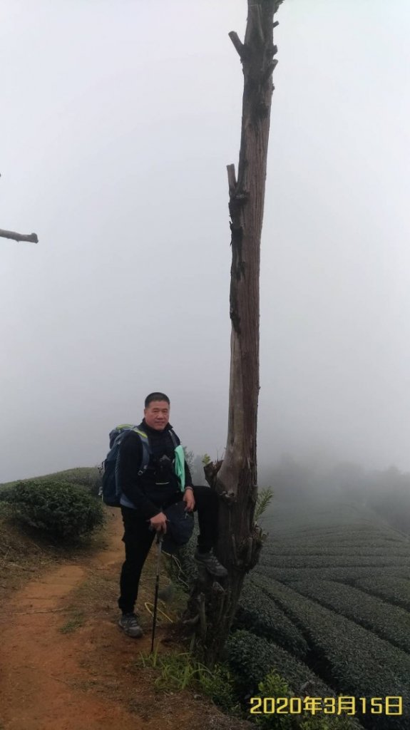 梨子腳山封面圖