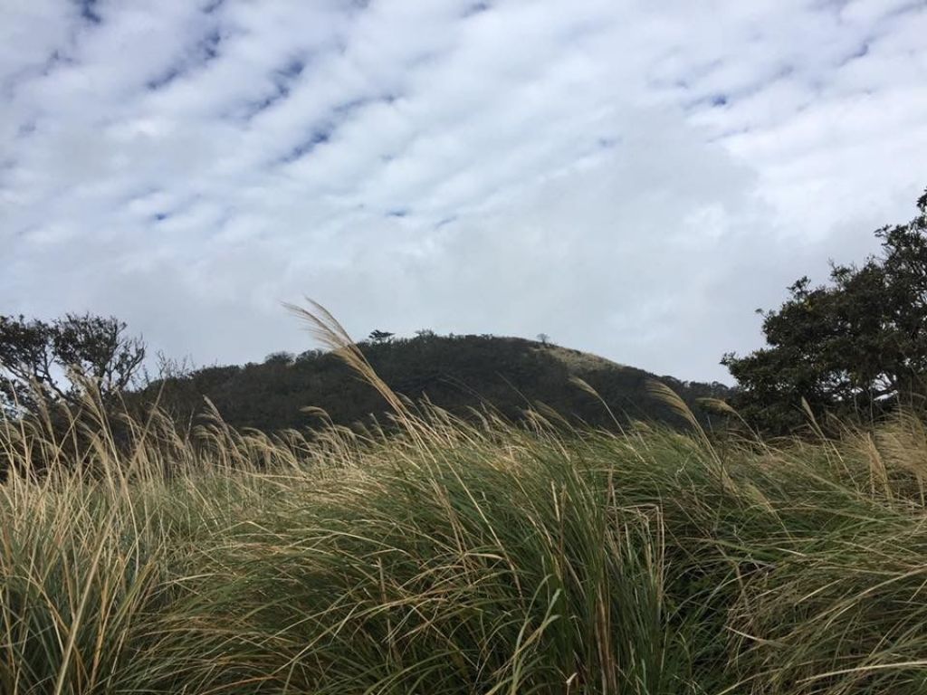 面天山向天山景點_333775