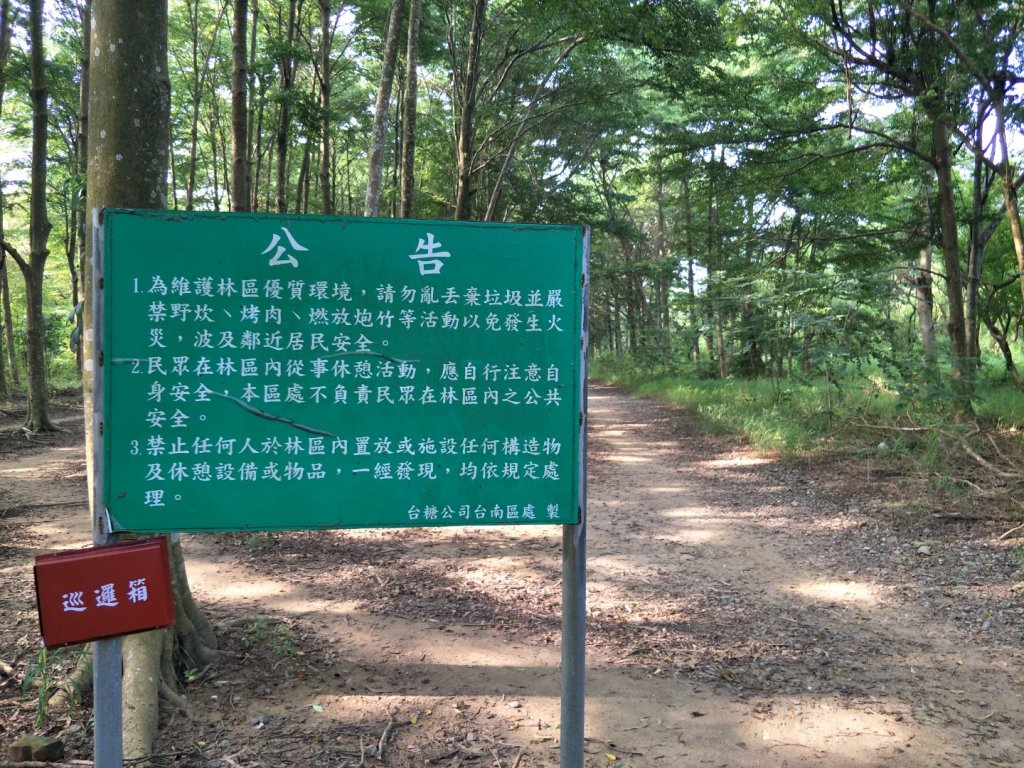西瓜山森林步道(虎山森林步道)_1461403