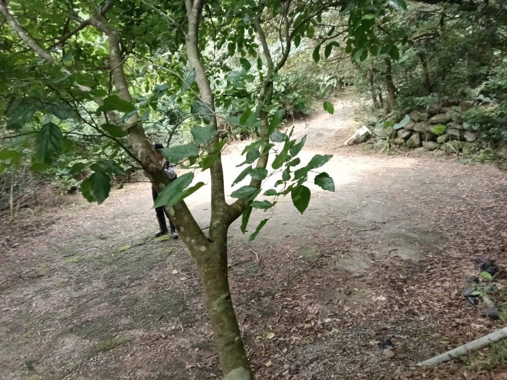 頭城鎮龜山車站+北關山豬線+叢雲山+梗枋古道出龜山車站O型_3007608