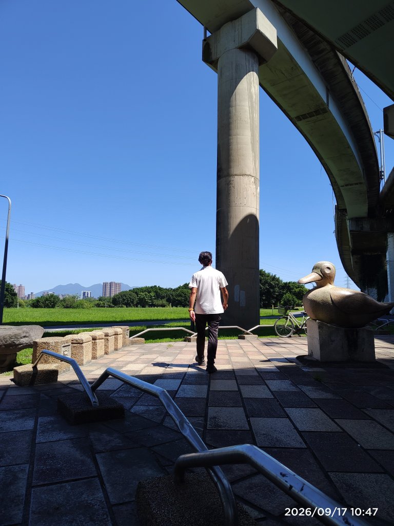 2026臺北健走趣華江雁鴨自然公園步道202609171107封面圖