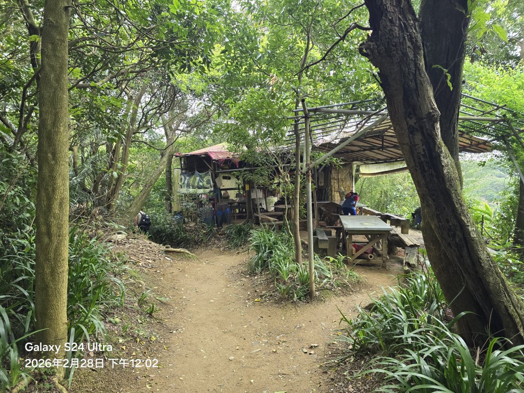 2026-02-28微笑山線：【大棟山系】405高地段_3008719