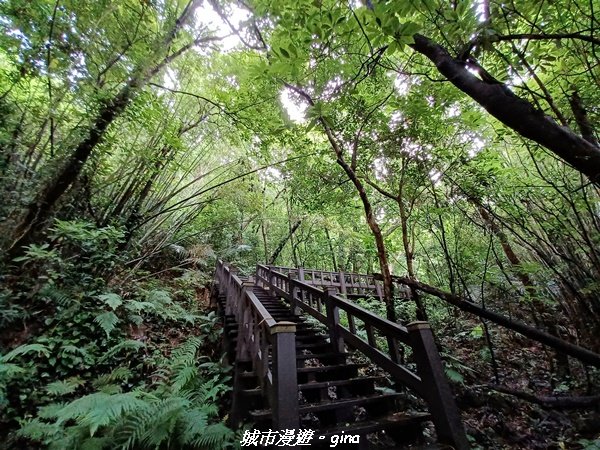 【台中后里】蓊鬱林間。 后里泰安登山步道_1728757