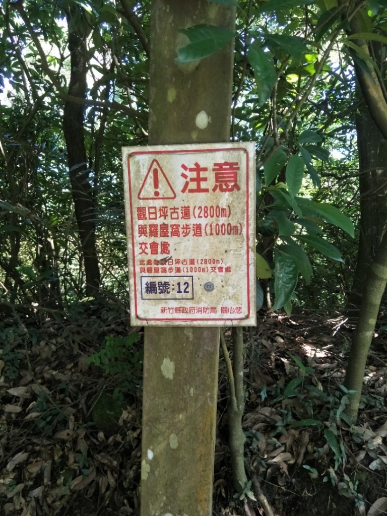 飛鳳山、觀日坪古道_1750116