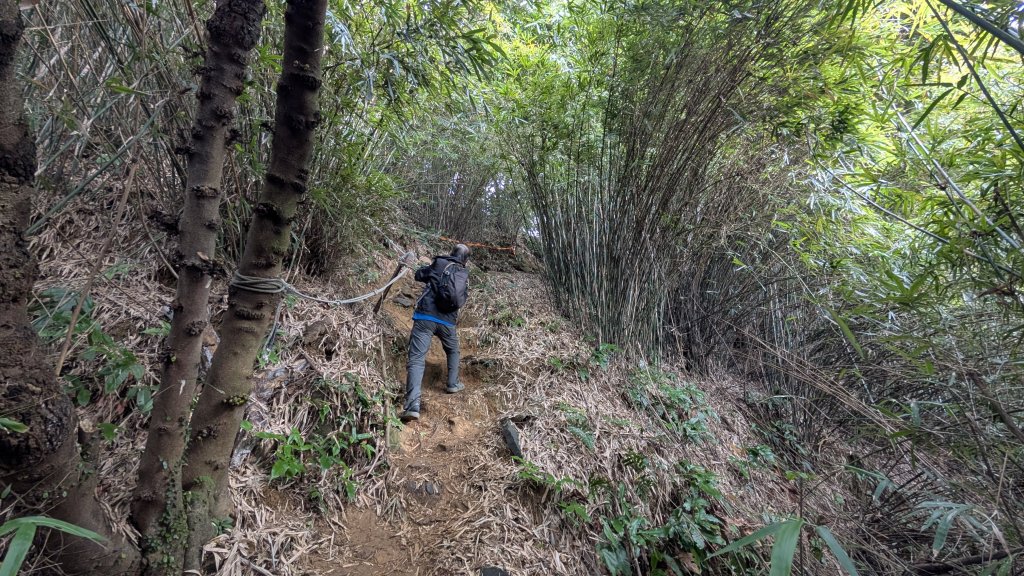 114.12.20劉銘傳隧道-獅球嶺北峰-獅球嶺東砲台山-獅球嶺池-獅球嶺砲台山之旅_2966732
