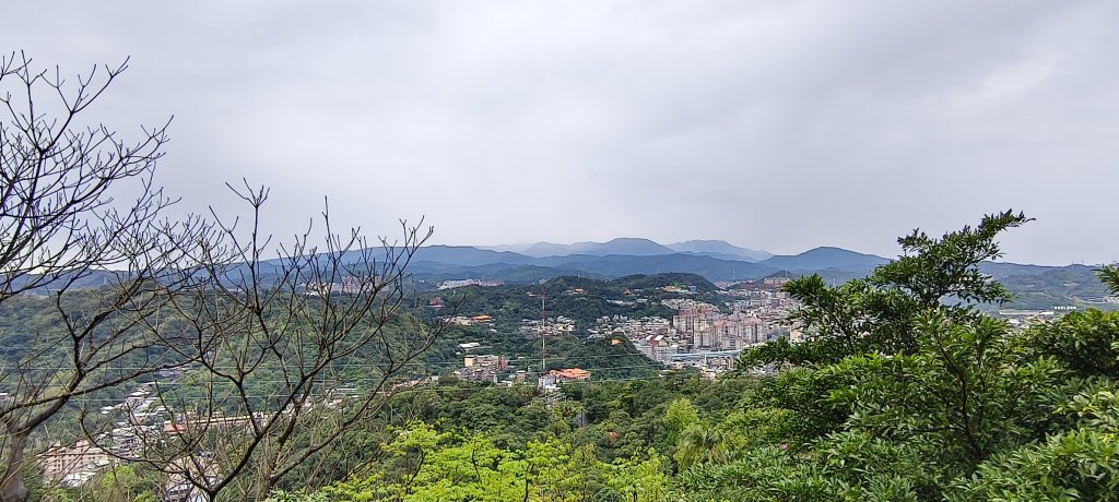 2026/03/01-紅淡山步道_3010056