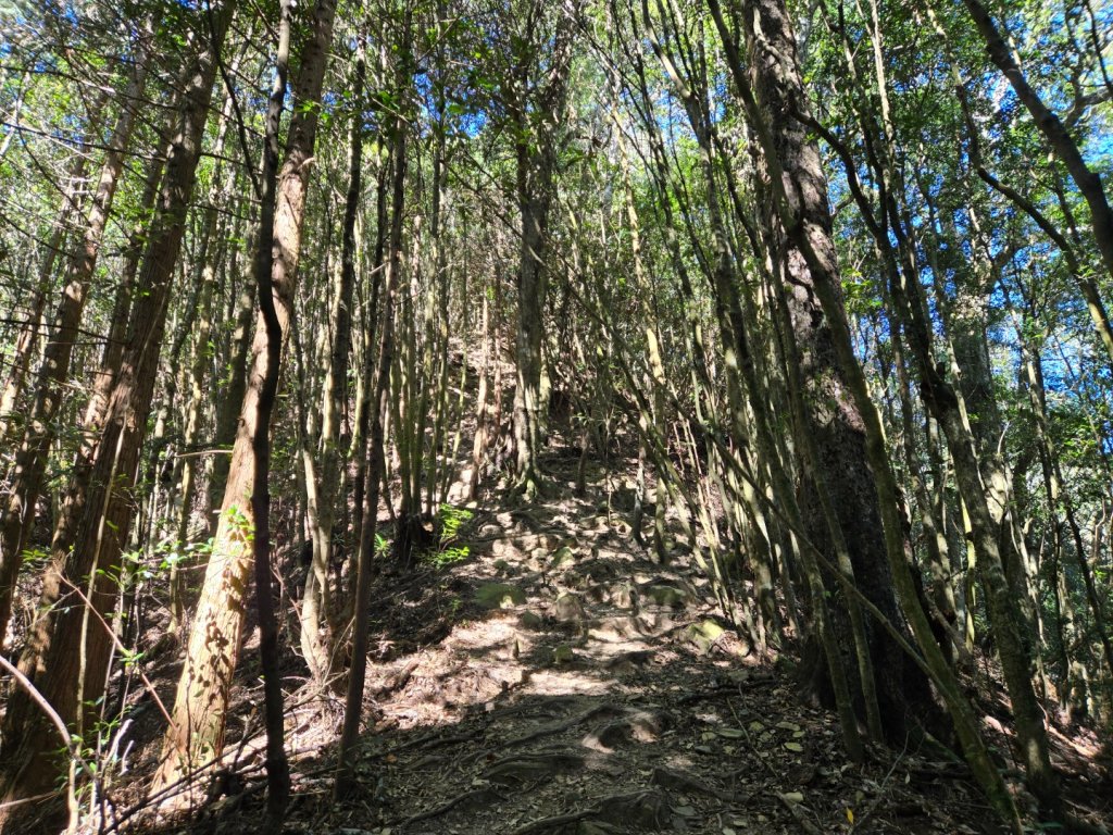 屋我尾山（谷關七雄）_2664198