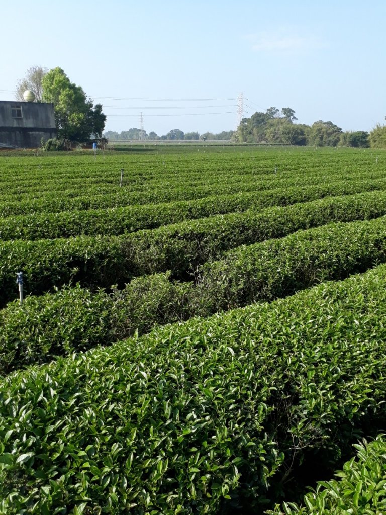 彰化清水岩步道群長青自行車道O型0307_869076
