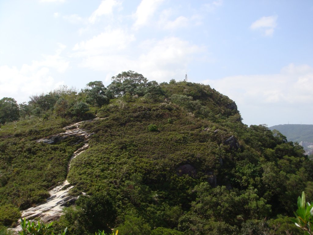 軍艦岩、丹鳳山親山步道_1682472