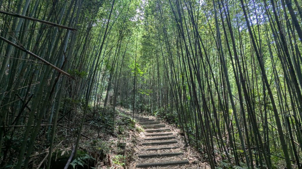 關刀山步道 (出關古道：聖關段)_2532841