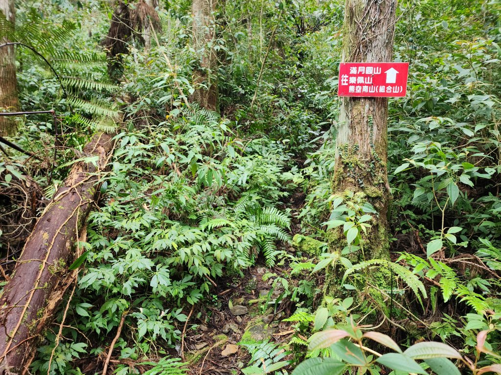 20250302樂佩山_2754728