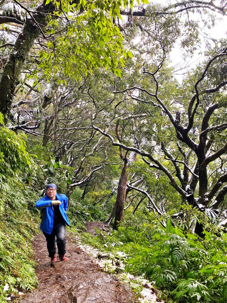 2021-1-9 面天山、向天山_1234119