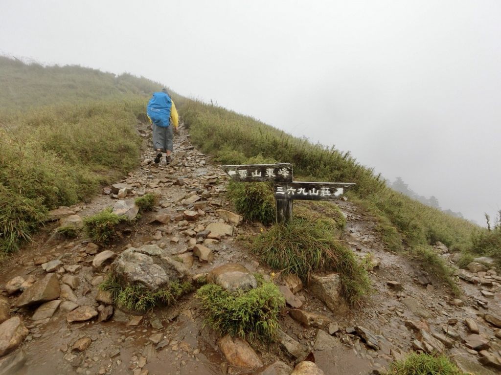 第8座百岳2018.8.18雪山東峰_391075