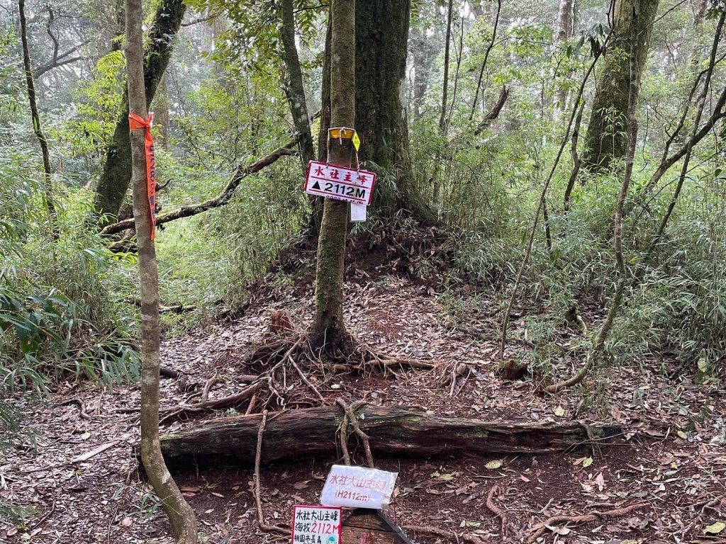 水社大山_2117958