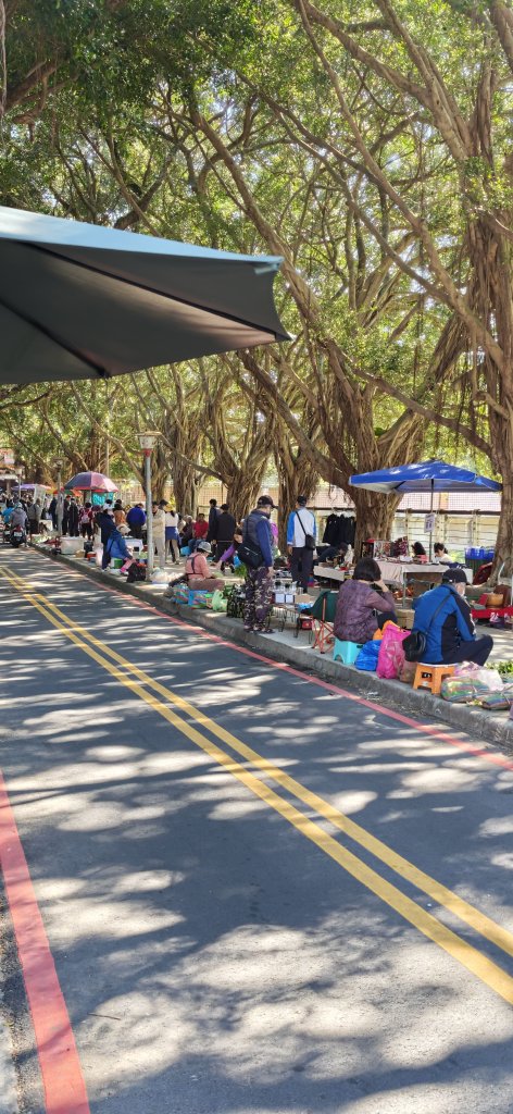 2026-0315 桃園虎頭山封面圖