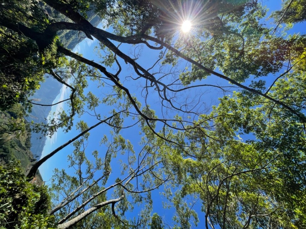 秋高氣爽的五元兩角_1619918