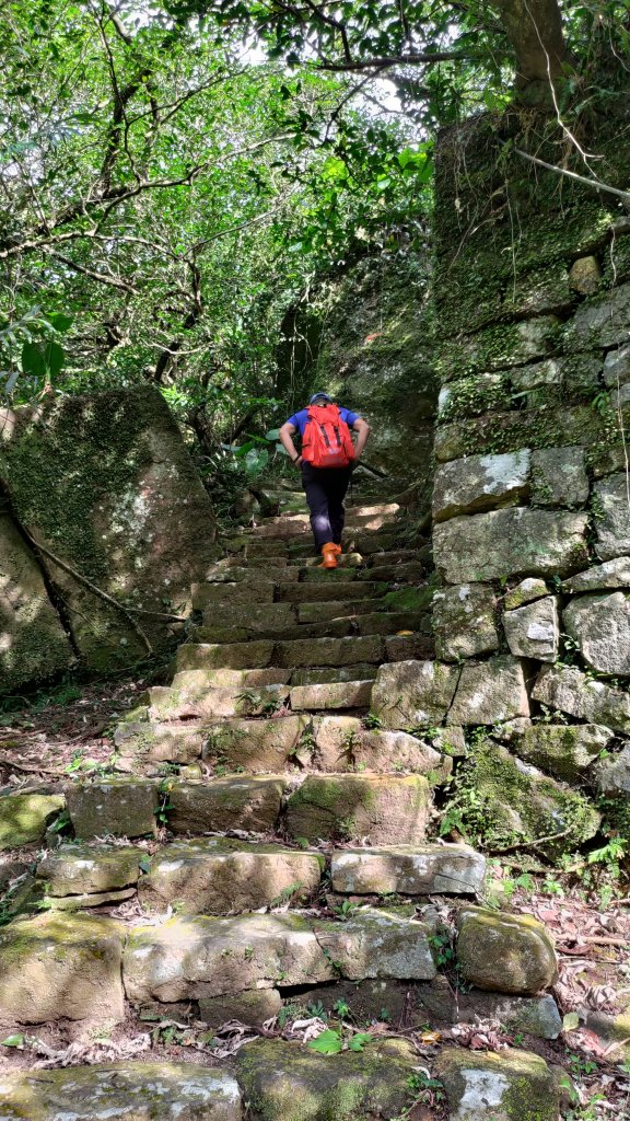 大小粗坑古道O型_2236174