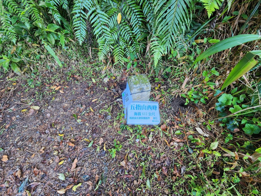 20260110大湖公園捷運站至擎天崗_2993209