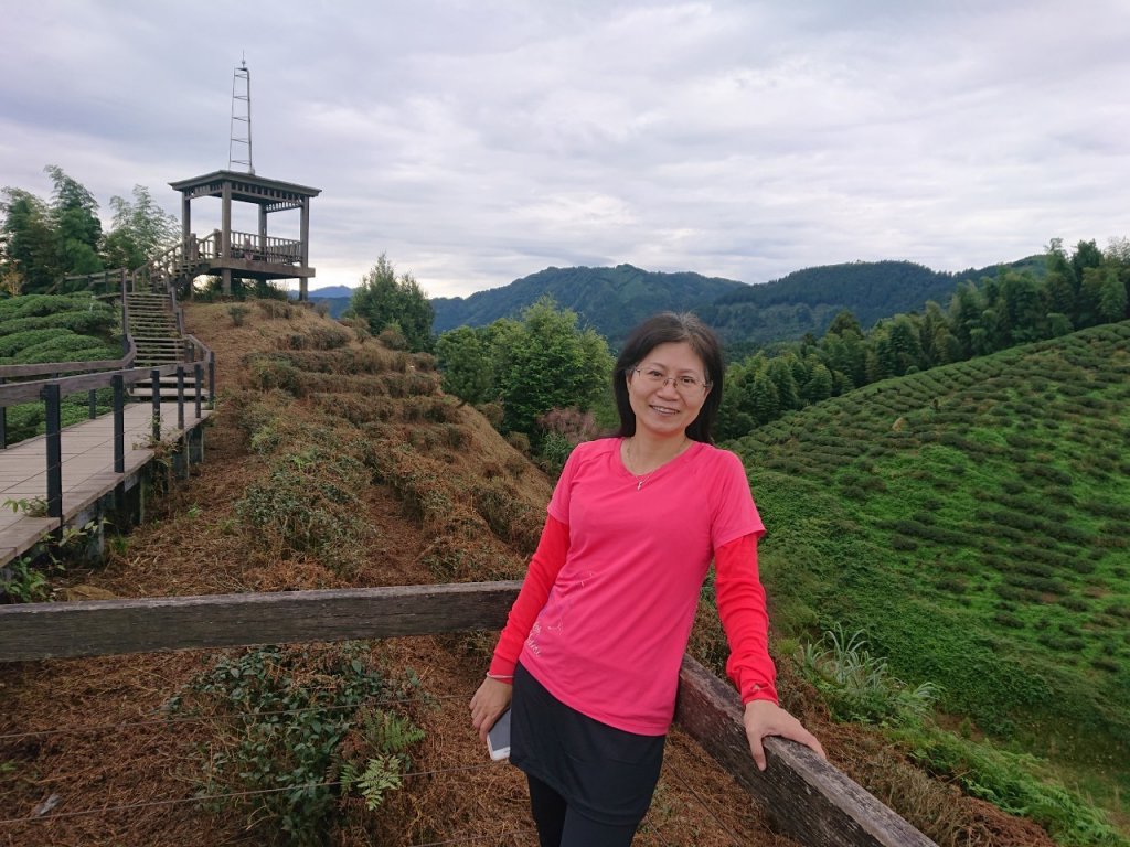 貓空望山、嶺頭山、金柑樹山（小百岳）、忘憂森林_1896986