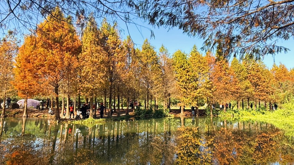 桃園大溪-花彩節🌼李騰芳古厝-月眉落雨松_2981328