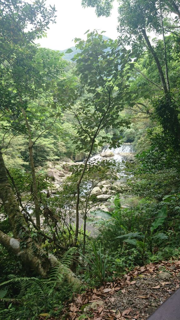 菲比登山社LAMB滿月圓瀑布初體驗_335283