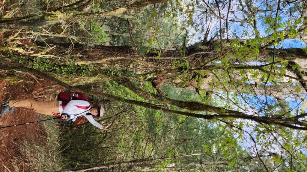 【百岳】志佳陽大山_2779857