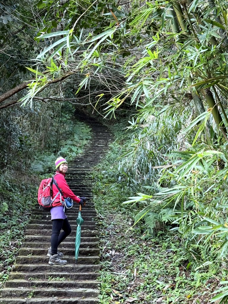 大山背山+騎龍山O繞2025.12.28_2979471