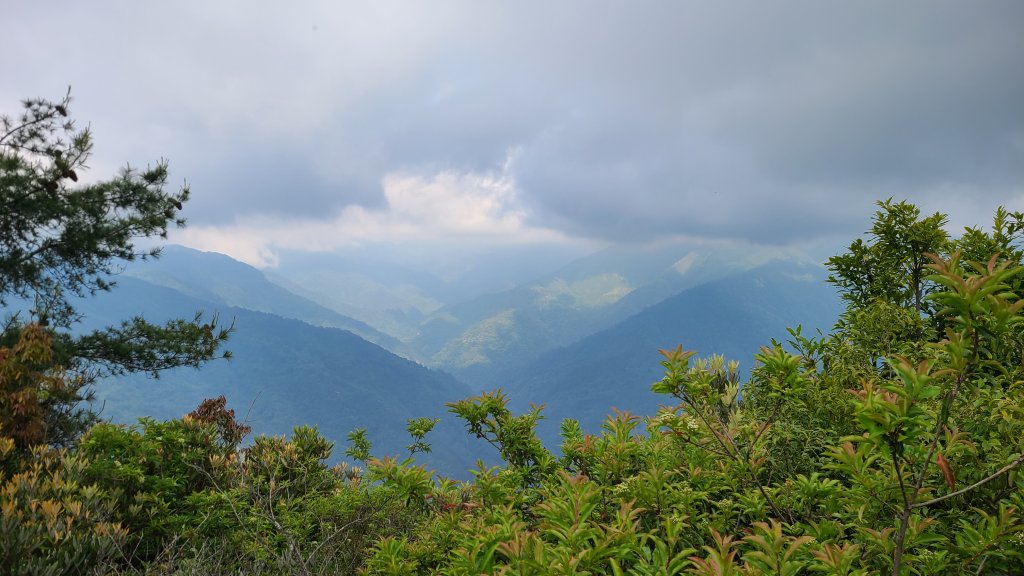 苗栗泰安-榛山封面圖