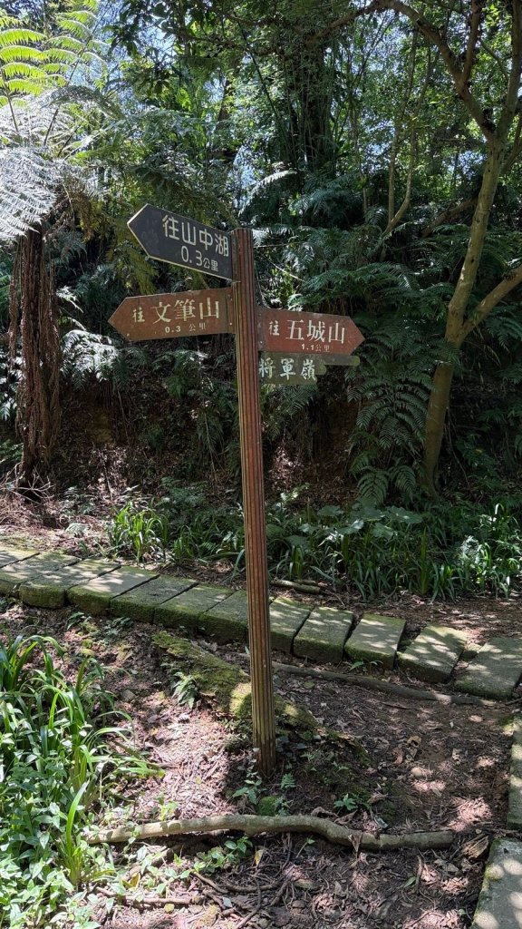 土城文筆山封面圖