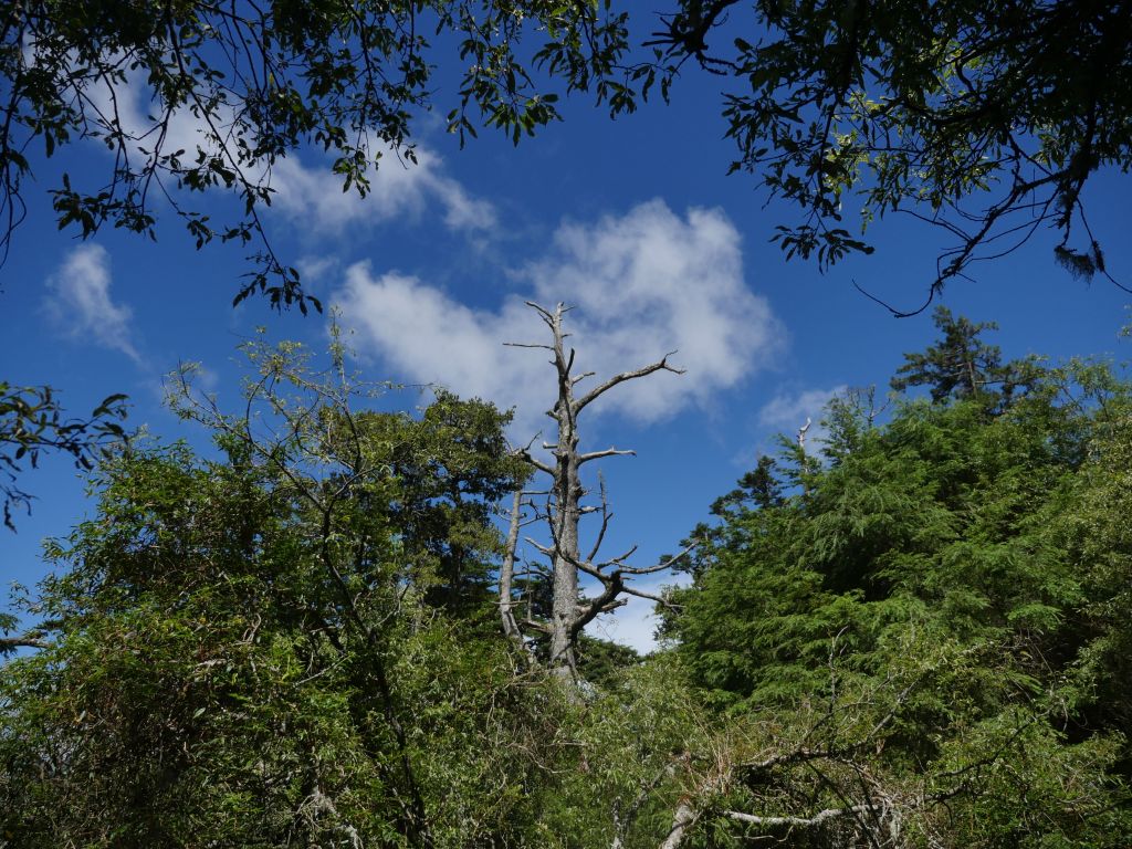 閂山、鈴鳴山_151090