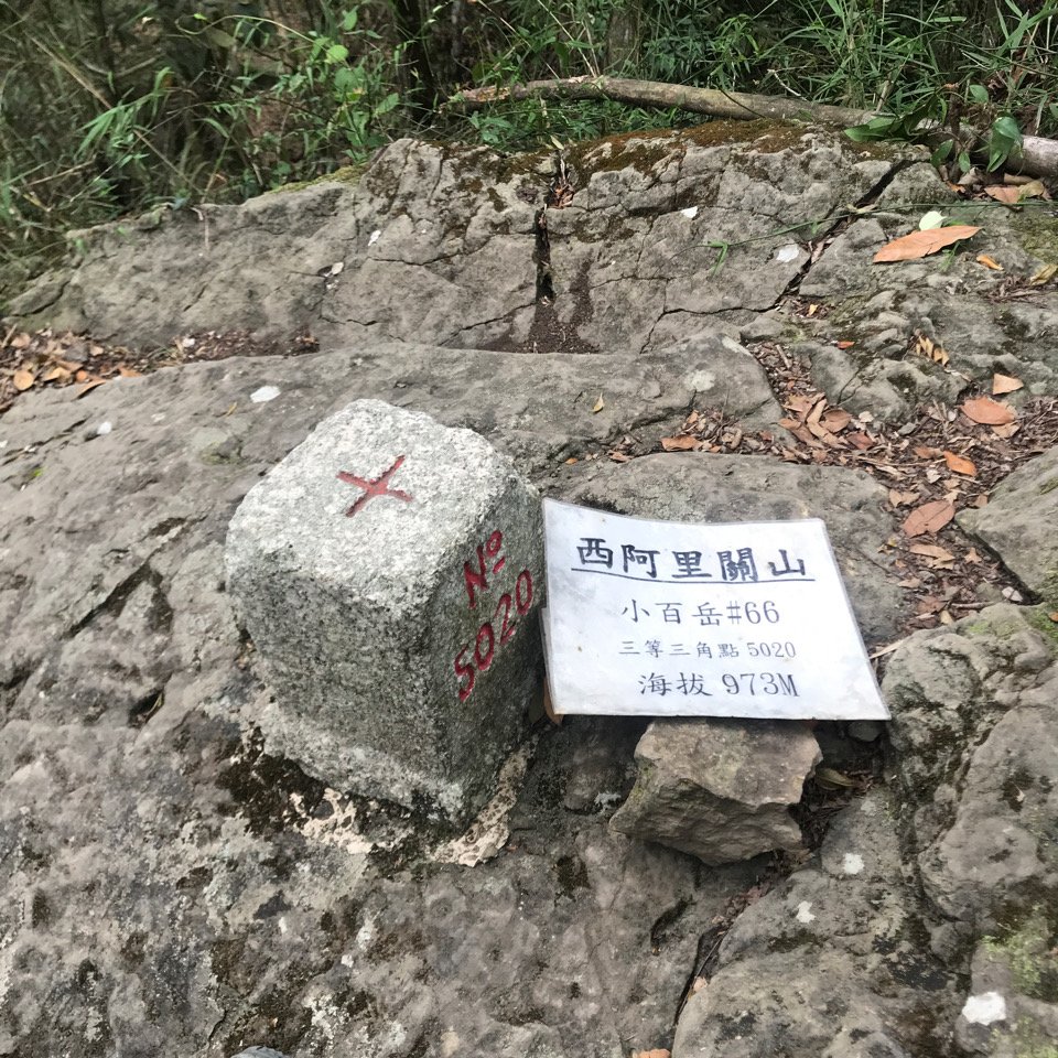 1090509西阿里關山_959187
