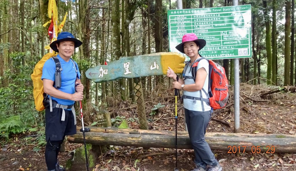 加里山封面圖