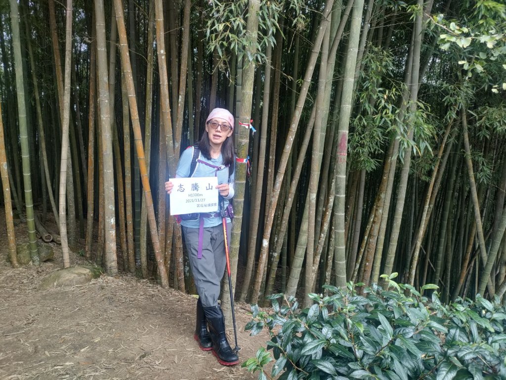 1101127 溪頭九連峰_1528505