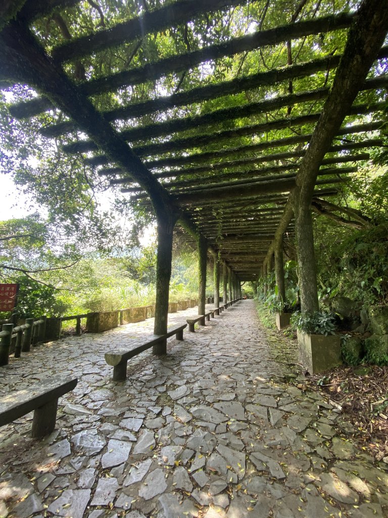《十八份水圳步道 × 草山觀瀑吊橋 × 大屯瀑布 × 小隱潭瀑布｜陽明山夏日消暑健_2856075