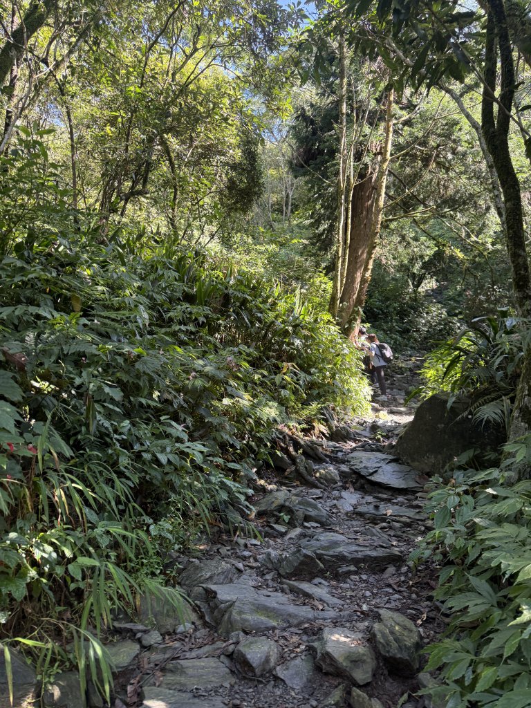 91北大武山（至檜谷山莊）115.10.04封面圖