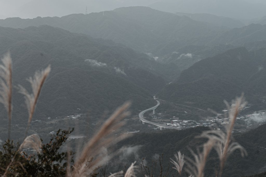 菅芒浪白｜五分山_2356438
