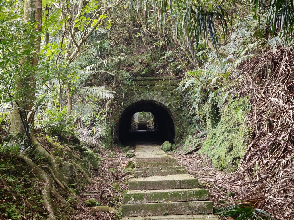[淡蘭古道] 2026_0531 北路第一段_琉榔路步道封面圖