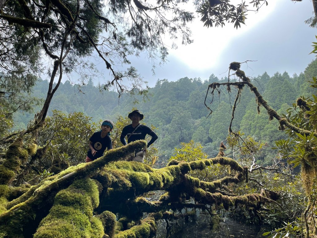 大同給給池神代池舊太平神社_1842234