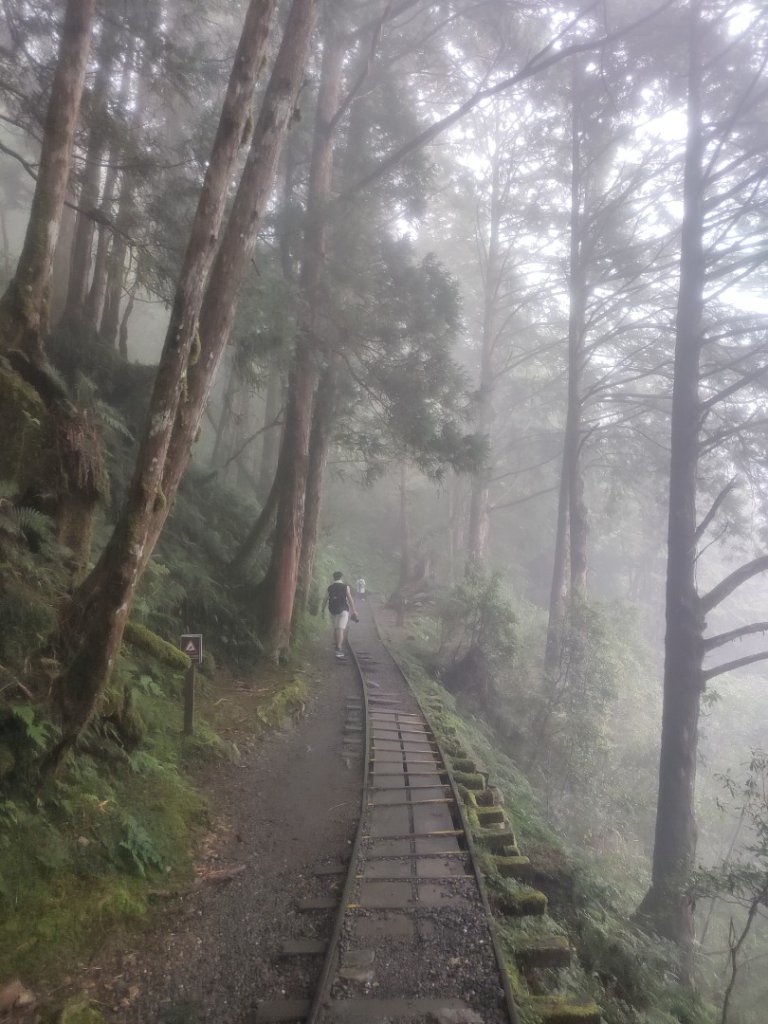 1150728太平山見晴懷古步道_3096859