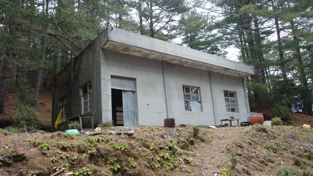 深藏在郡大林道被遺忘的明珠清水山、金子山、郡大山三日_1943858