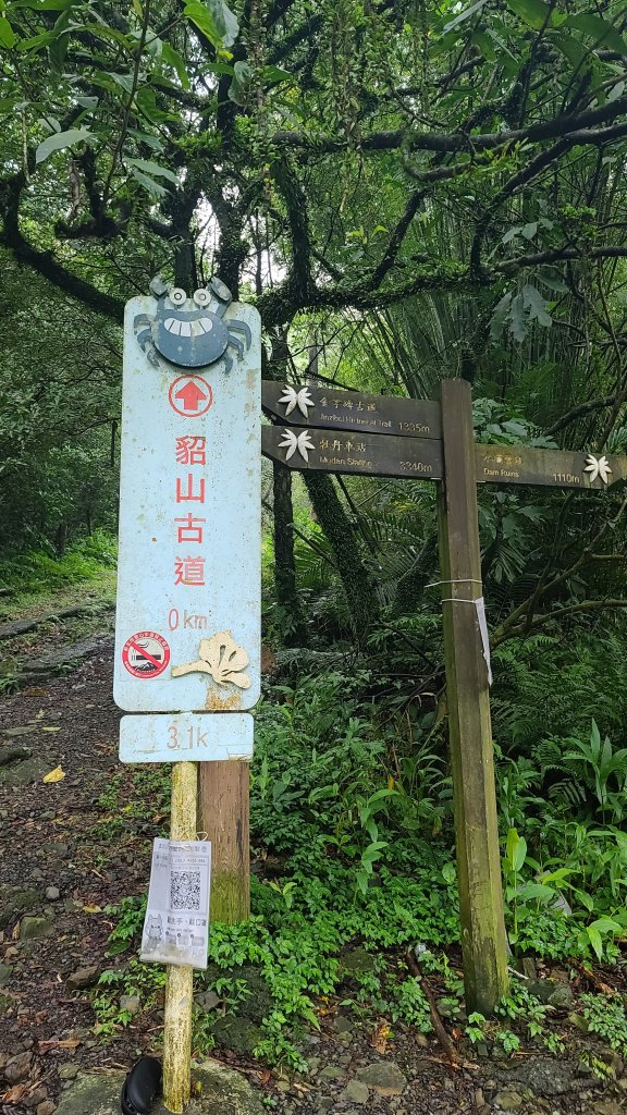 2021-1230 百二崁、燦光寮、貂山古道、地質公園步道O型_1565460