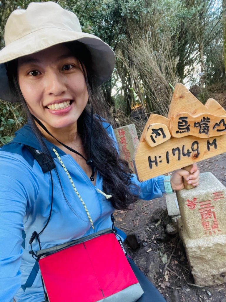 【內鳥嘴山】金黃色山毛櫸_1202568