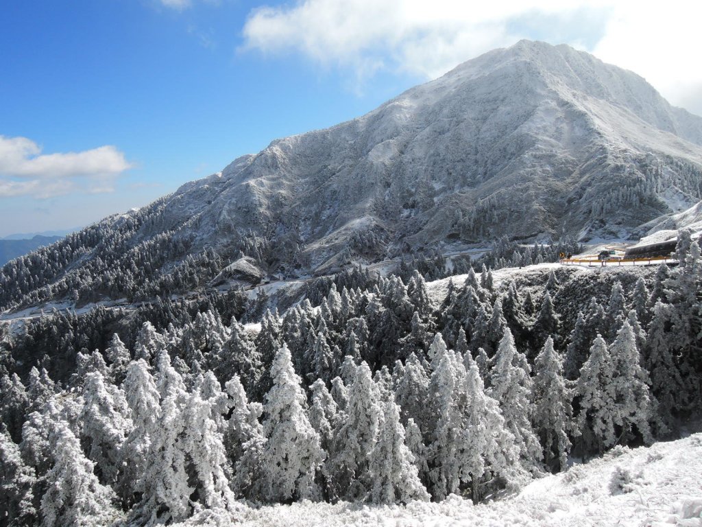 合歡山也有藏王樹冰的雪景_510329