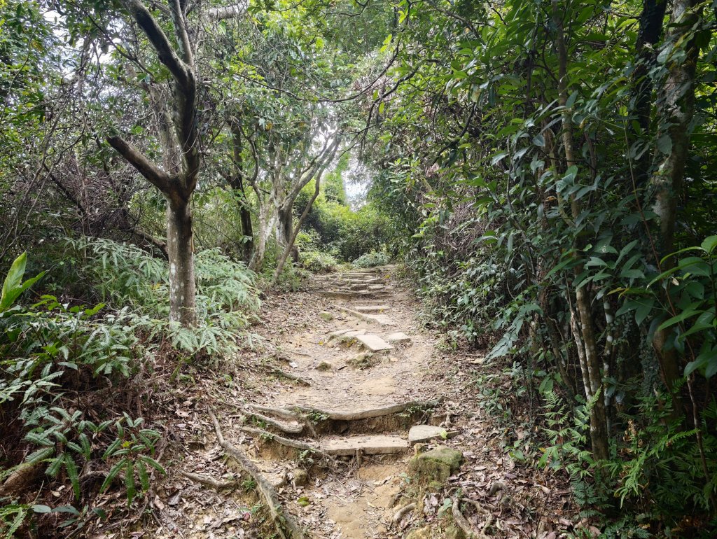 [淡蘭古道] 2026_0523 南路第一段_中埔山步道封面圖