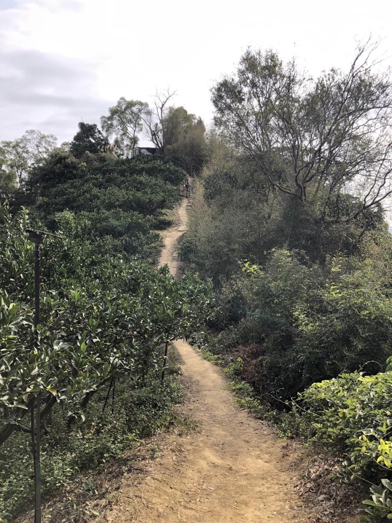 20230226小百岳台中聚興山_2112779