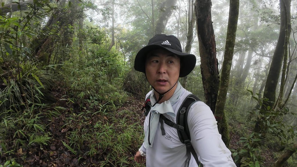 阿里山頂湖三連峰:天福山、芙蓉山、凸龜山_2810116