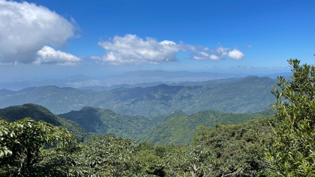 1100828東眼山.親子峰_1448004