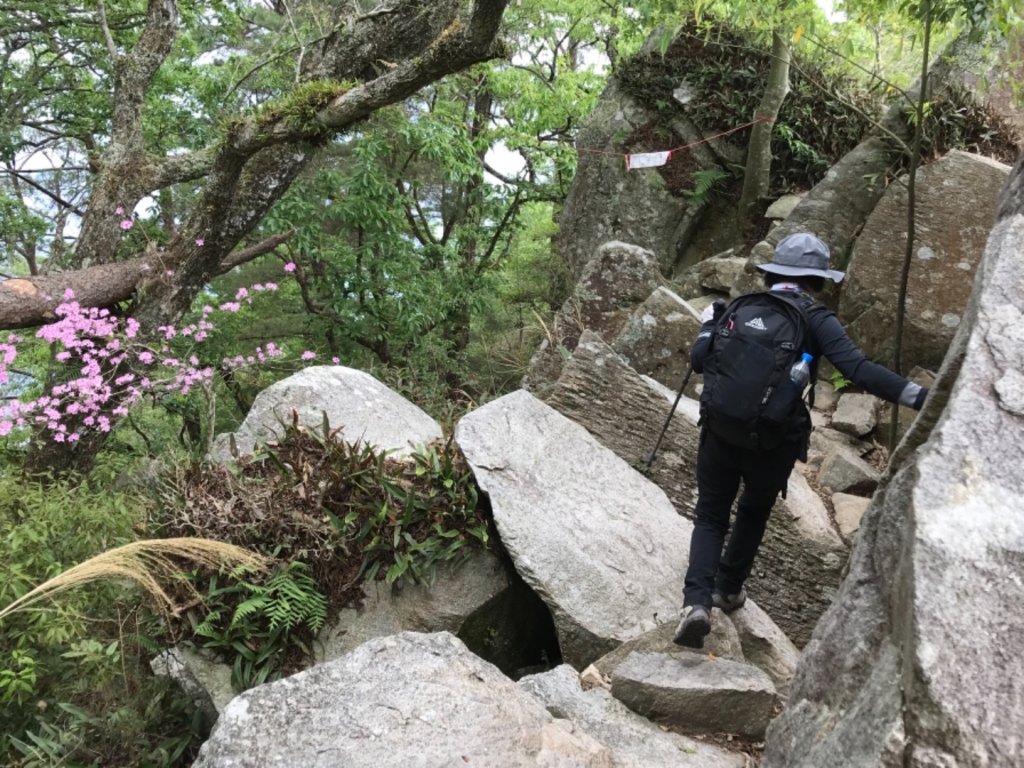 德芙蘭步道環走東卯山_565683