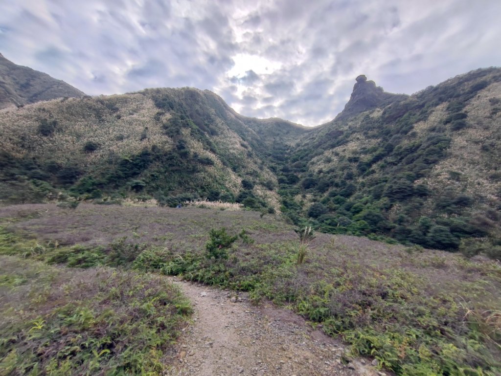 金瓜石黃金二稜/黃金洞_2411455