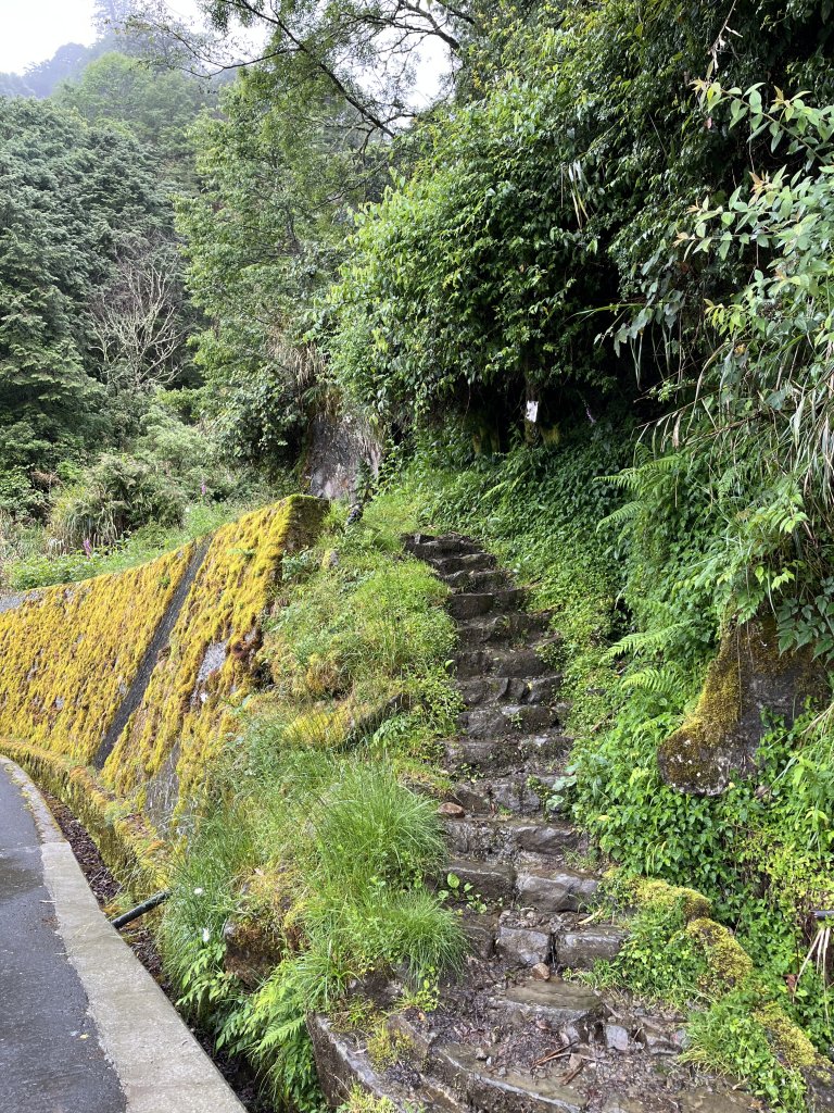 鹿林山-鹿林前山-真鹿林山-石水山-石水山基點峰 2025.5.25_2798405
